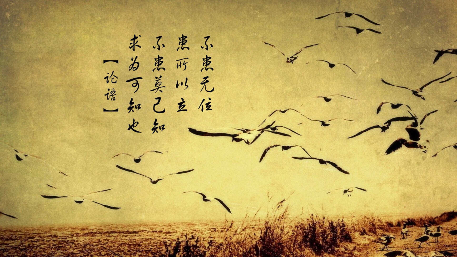 世界举重青少年夏季联赛：区域交流促进技术进步，世界举重比赛规则